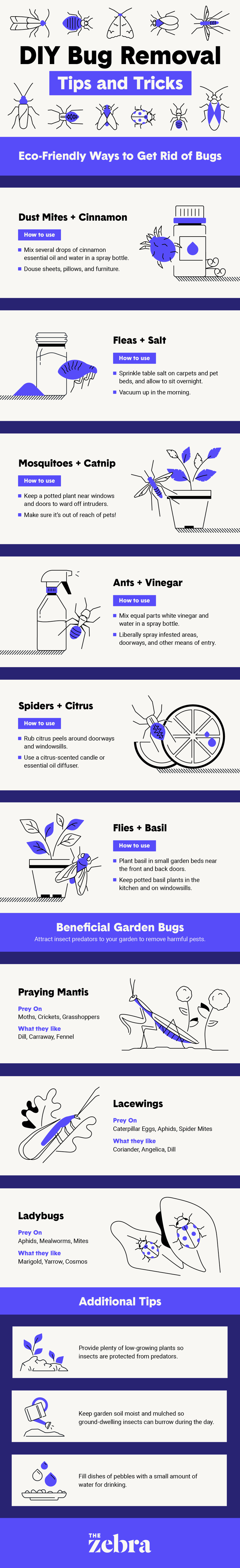 diy bug prevention infographic