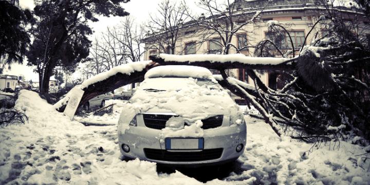 winter storm