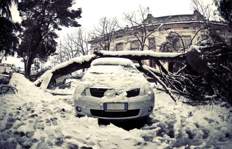 winter storm