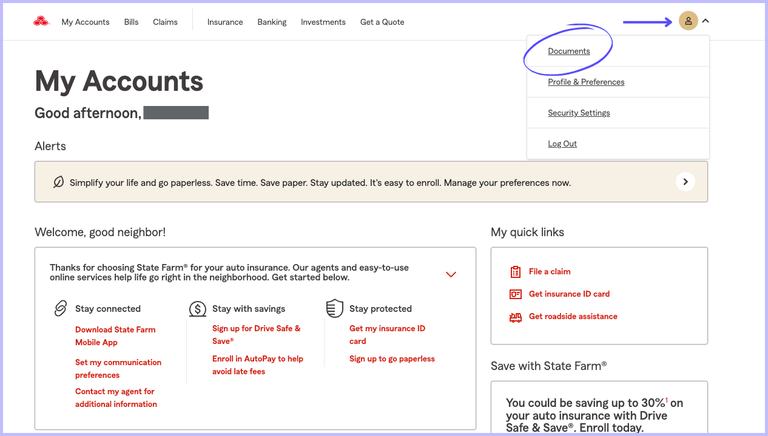 state farm online img