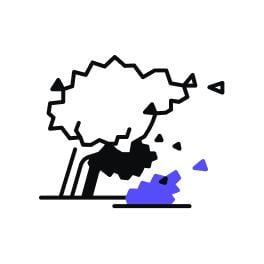 windstorm