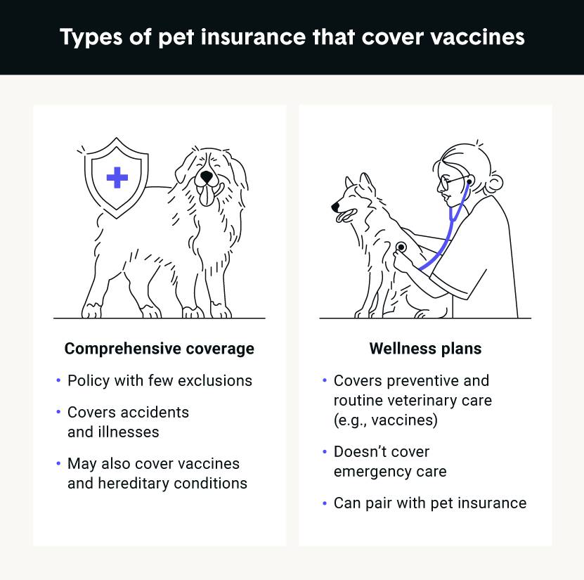 Dog vaccination schedule: Which shots they need and when