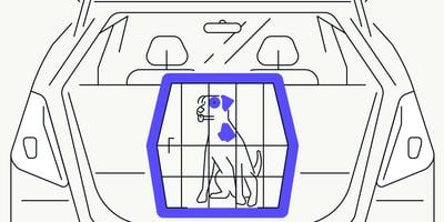 dog-holiday-pet-care-guide