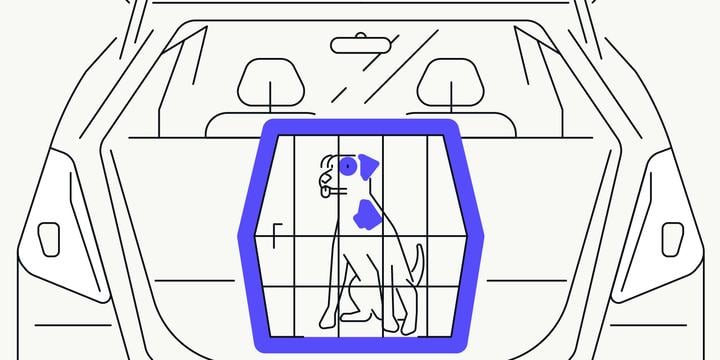 dog-holiday-pet-care-guide