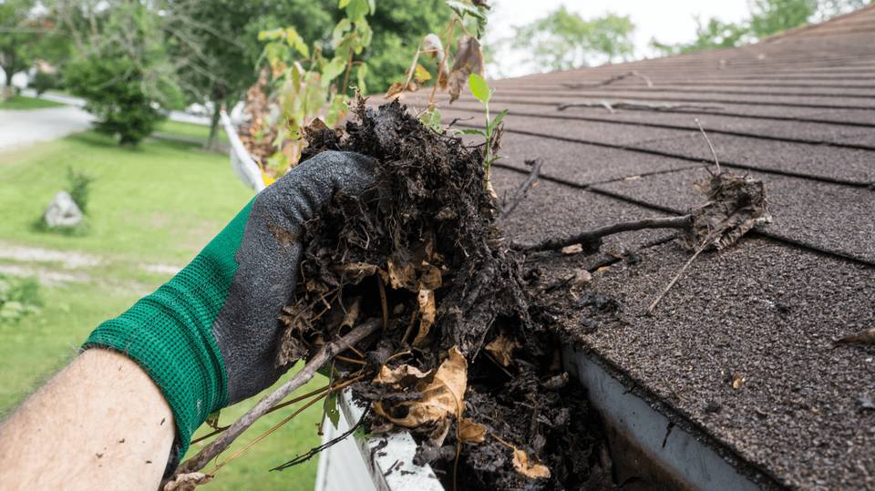  gutter roof debris