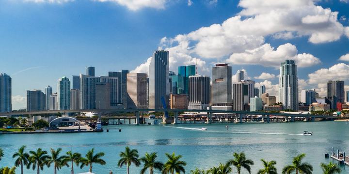 hero-miami-skyline-water-palm-trees.jpg