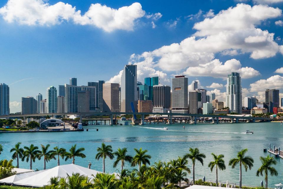 hero-miami-skyline-water-palm-trees.jpg