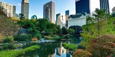 hero-sustainable-cities-new-york-city-skyline-central-park.jpg