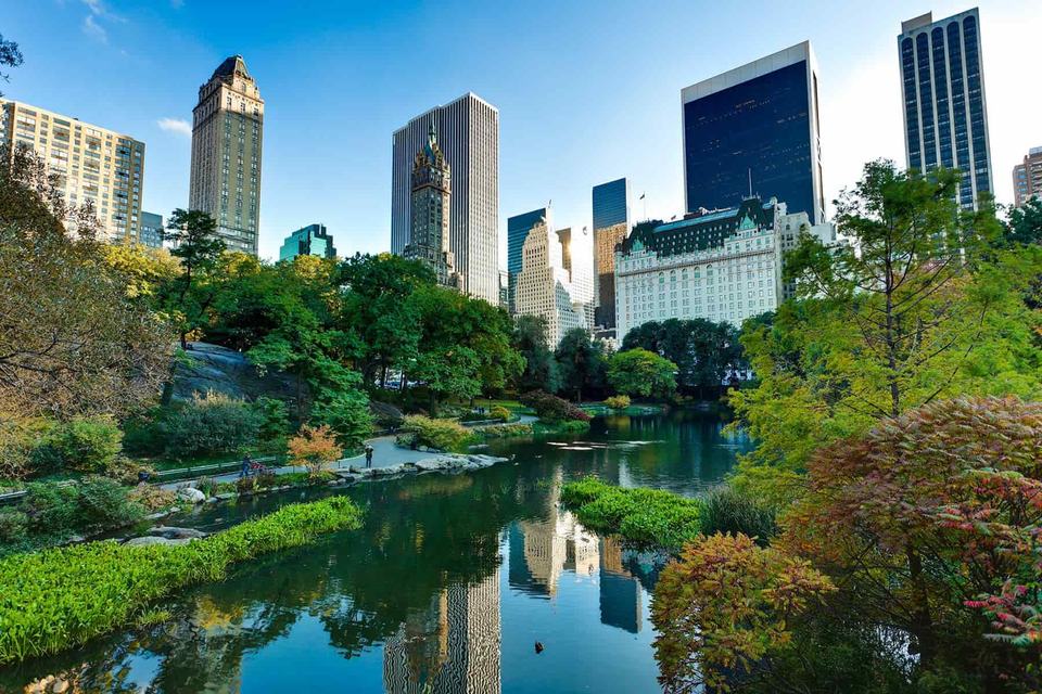 hero-sustainable-cities-new-york-city-skyline-central-park.jpg