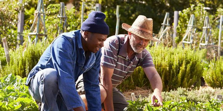 hero-two-men-working-in-a-community-garden-1.original (1).jpg
