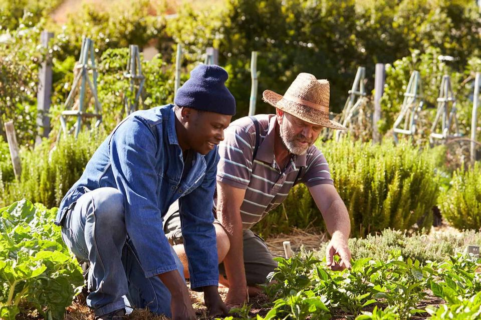 hero-two-men-working-in-a-community-garden-1.original (1).jpg
