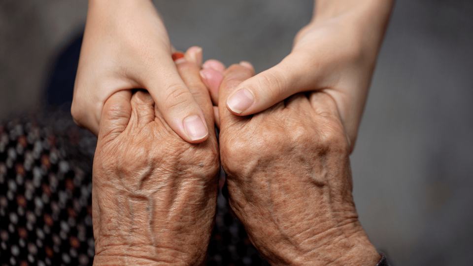 generations family hands inherit