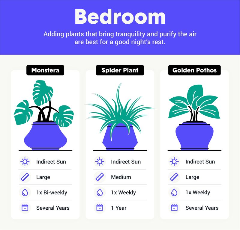 best houseplants for bedroom image