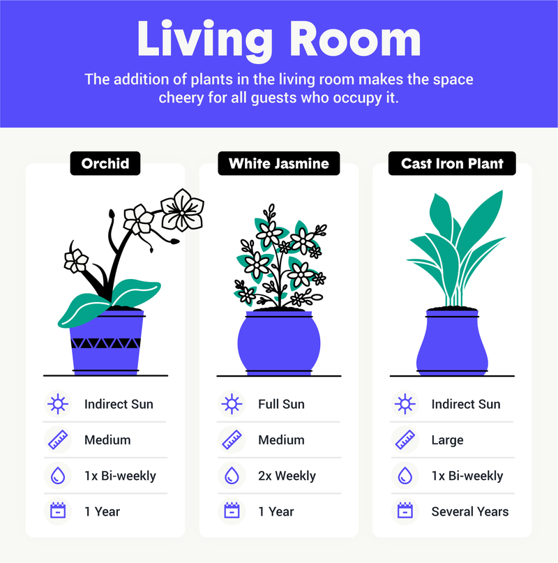 best houseplants for living room image