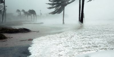hurricane beach trees