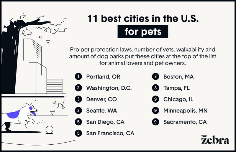 Image listing 11 best cities for pets