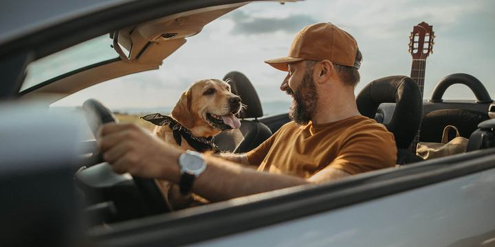 Dog and man in a convertible