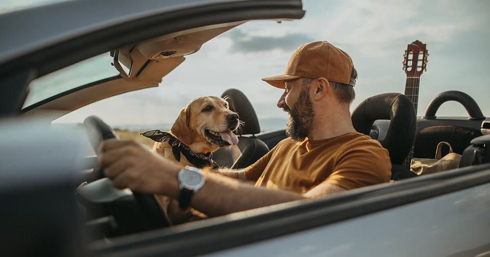 Dog and man in a convertible