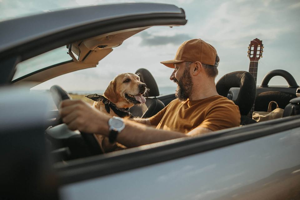 Man driving convertible with a dog