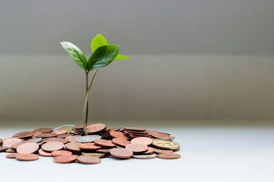 financial growth money