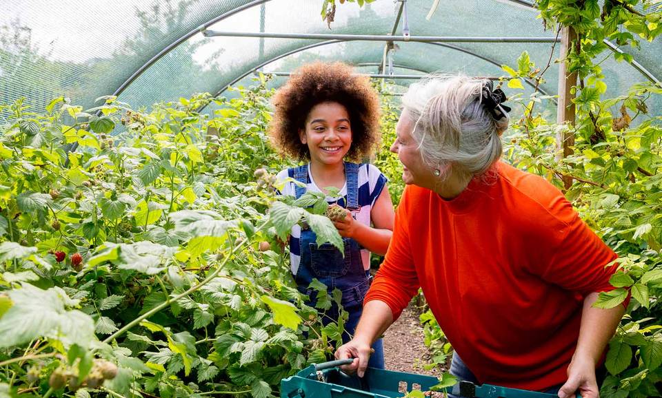  picking-berries-community-garden.jpeg