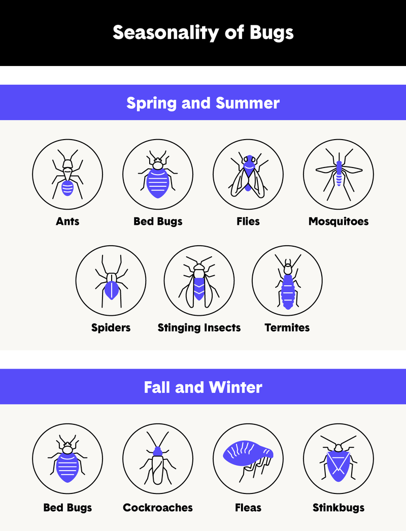 seasonality-of-bugs.png