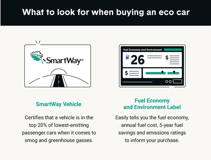  what-to-look-for-when-buying-an-eco-car