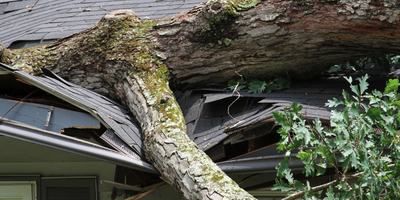 wind_damage