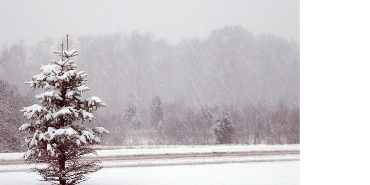 winter_snow