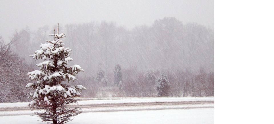 winter_snow