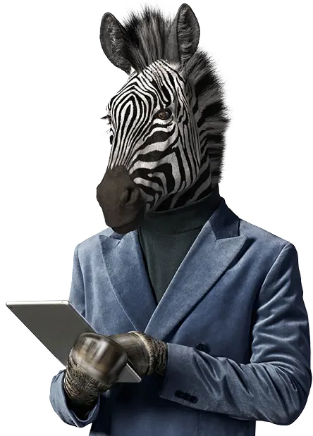 The Zearcher